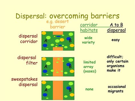 sweepstakes dispersal|Sweepstakes Dispersal Route .
